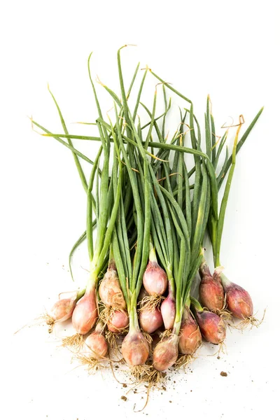 Fresh Red Onions White Background Topview Royalty Free Stock Photos