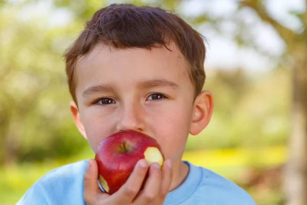 Child Kid Little Boy Eating Apple Fruit Outdoor Outdoors Spring — Stock Photo, Image
