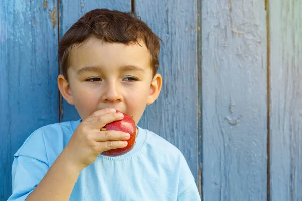 食べるリンゴ果実を食べる子子供小さな少年 Copyspace コピー スペースを噛んで外屋外屋外 — ストック写真