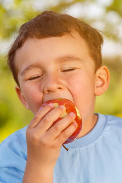 子供は子供の小さな少年食用リンゴ果実屋外の肖像画の形式の春の自然外屋外 — ストック写真