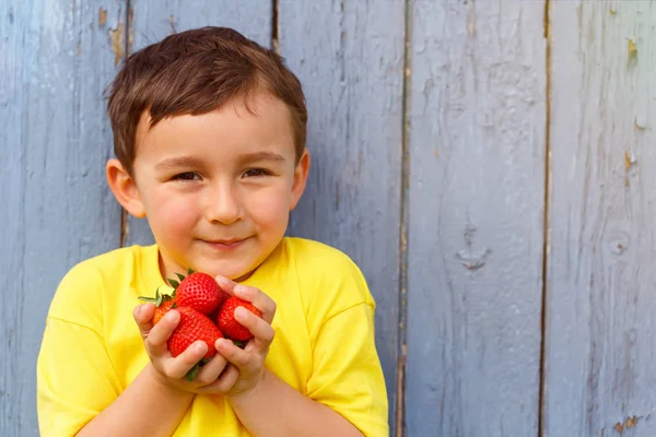 Child Kid Little Boy Strawberry Fruit Summer Strawberries Copyspace Copy — Stock Photo, Image