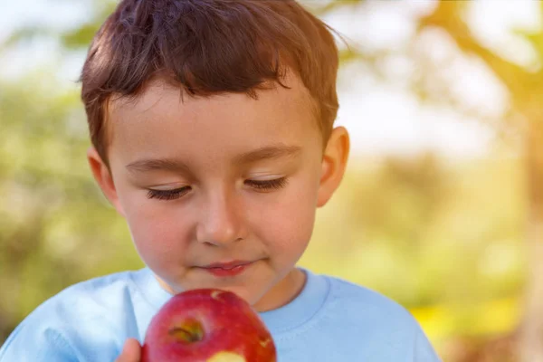 Child Kid Little Boy Eating Apple Fruit Outdoor Copyspace Outdoors — Stock Photo, Image
