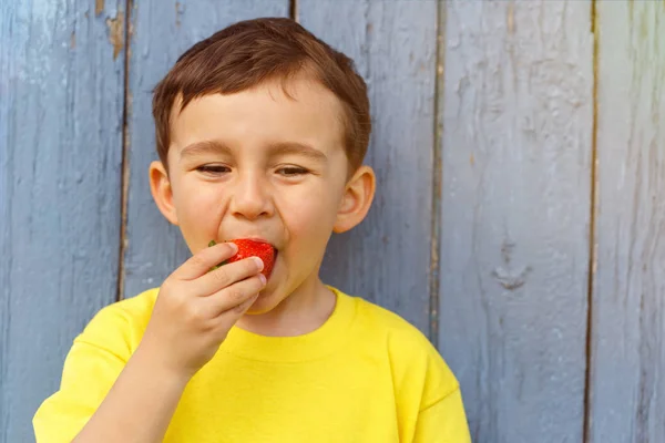 Child Kid Little Boy Eating Strawberry Fruit Summer Strawberries Copyspace — Stock Photo, Image