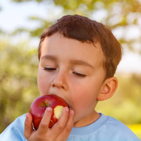 Child Kid Little Boy Eating Apple Fruit Outdoor Square Outdoors — Stock Photo, Image
