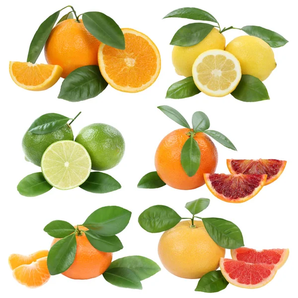 Coleção Laranjas Mandarina Limão Toranja Frutas Isoladas Fundo Branco — Fotografia de Stock