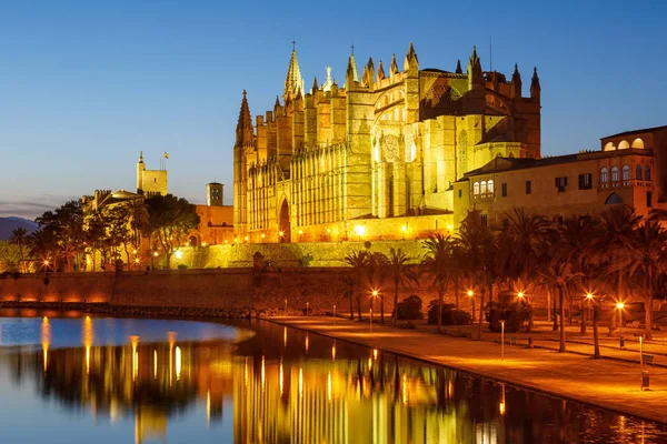 Kathedrale Palma Mallorca Mallorca Kirche Kathedrale Kopierraum Nacht Spanien Reisen — Stockfoto