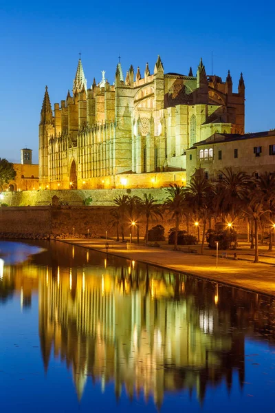 Catedral Palma Maiorca Igreja Maiorca Catedral Crepúsculo Formato Retrato Espanha — Fotografia de Stock