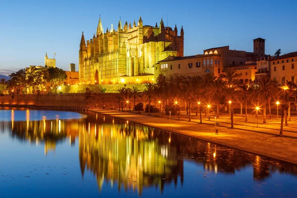 Kerk Catedral Palma Mallorca Mallorca Kathedraal Twilight Spanje Reizen Reizen — Stockfoto