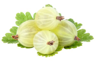 Gooseberries gooseberry berries fruits fruit leaves isolated on a white background clipart