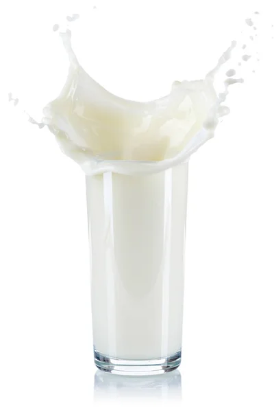 Milk Splash Splashing Glass Isolated White Background — Stock Photo, Image