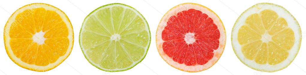 Collection of citrus fruits in a row orange lemon slices sliced isolated on a white background