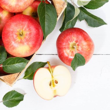 Elma elma meyve meyve yukarıdan kare sonbahar sonbahar sonbahar kutusu