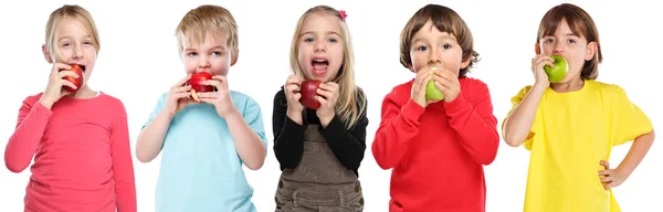 Group of kids children eating apple fruit autumn fall healthy is — Stock Photo, Image