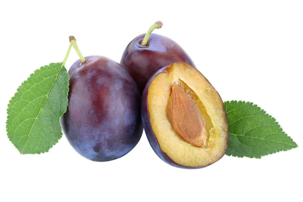 Plommon plommon katrinplommon beskära färska frukter frukt höst falla isolerade — Stockfoto