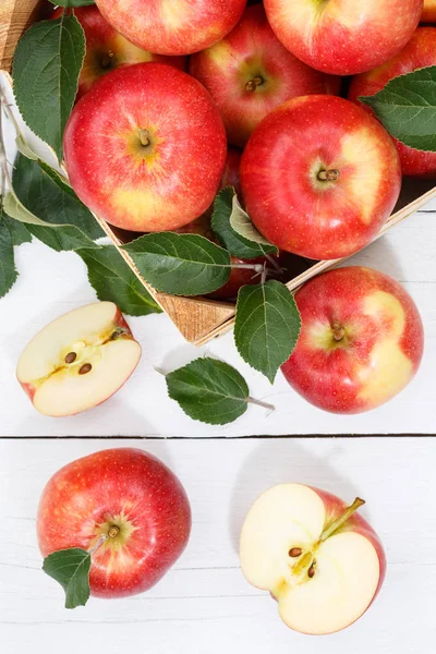 Manzanas frutas de manzana de arriba retrato formato otoño otoño —  Fotos de Stock