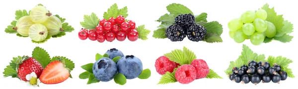 Collection de baies fraises bleuets raisins fruits fru — Photo