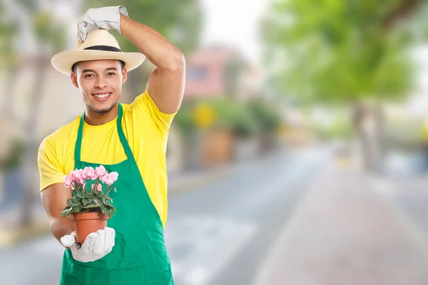 Tuinman Gardner Flower Tuinieren tuin bezetting stad copyspa — Stockfoto