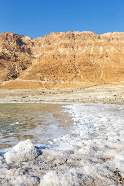 Dead Sea Israel landscape nature portrait format — Stock Photo, Image