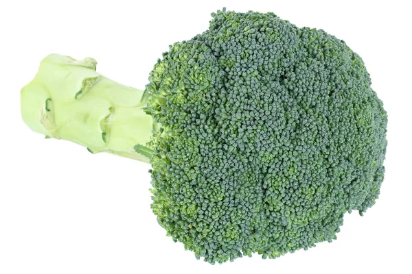 Broccoli fresh food vegetable isolated — Stock Photo, Image