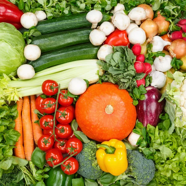 Recolección de verduras alimentos fondo tomates cuadrados zanahorias po —  Fotos de Stock