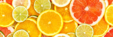 Citrus fruits collection food background banner oranges lemons l clipart
