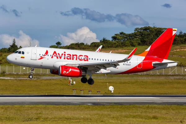 Medellin Κολομβία Ιανουαρίου 2019 Αεροπλάνο Avianca Airbus A319 Στο Αεροδρόμιο — Φωτογραφία Αρχείου