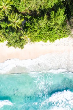 Seyşeller plajı okyanus manzarası Mahe adası doğa tatil cennet insansız hava aracı görüntüsü hava fotoğrafı