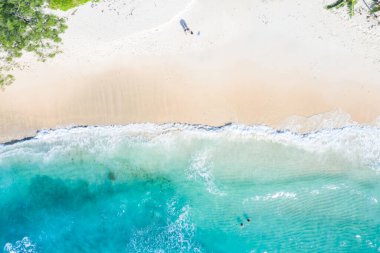Seyşeller plajı okyanus manzarası Mahe adası doğa tatil cennet insansız hava aracı görüntüsü hava fotoğrafı