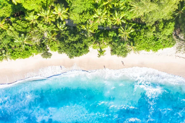 Seychelles Strand Mahe Sziget Természet Nyaralás Paradicsom Óceán Drón Kilátás — Stock Fotó