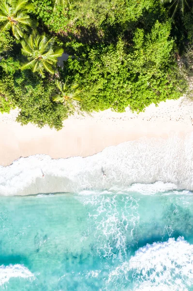 Seychelles Beach Sea Ocean Landscape Mahe Island Nature Vacation Paradise — Stock Photo, Image