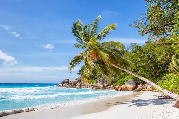 Seychelles Anse Georgette Playa Praslin Isla Palma Vacaciones Paraíso Océano — Foto de Stock