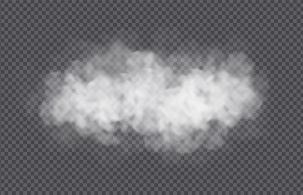 Nube de niebla o humo aislada sobre fondo transparente. Efecto realista de niebla, niebla, niebla o nubosidad . — Vector de stock