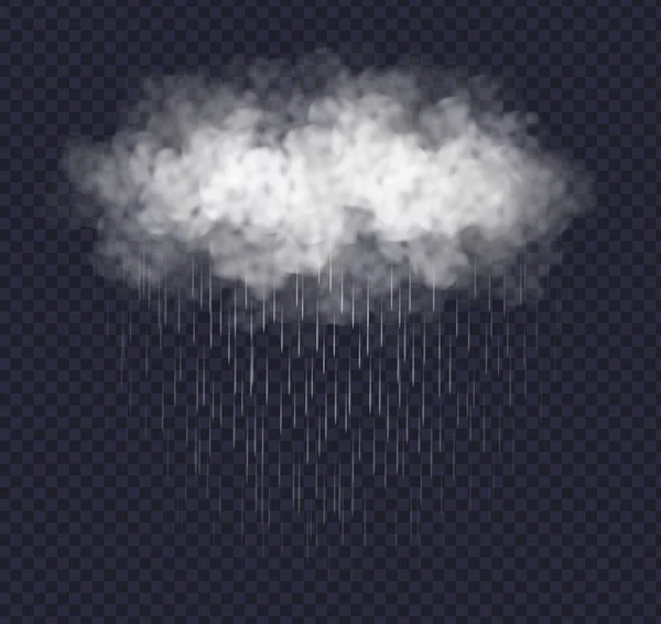 Rainy cloud isolated on transparent background. Realistic storm cloud with rain. — Stock Vector