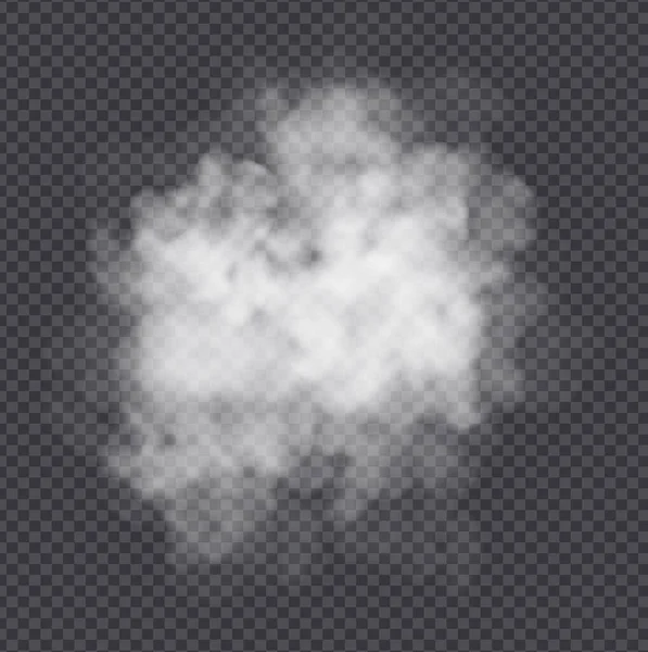 Nube de niebla o humo aislada sobre fondo transparente. Efecto realista de niebla, niebla, niebla o nubosidad . — Vector de stock