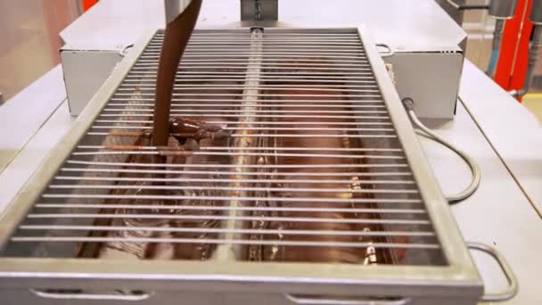 Candy Factory, productielijn van chocolade — Stockvideo