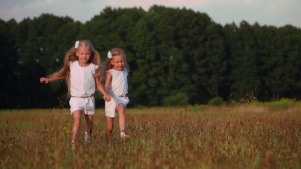 Kinder spielen und lachen im Sommer auf dem Feld — Stockvideo