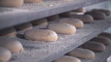 fırında ekmek üretimi, taze pişmiş ekmek