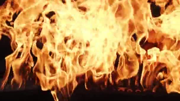 Eine Zeile echter Flammen entzündet sich auf schwarzem Hintergrund 100fps, Zeitlupe. — Stockvideo