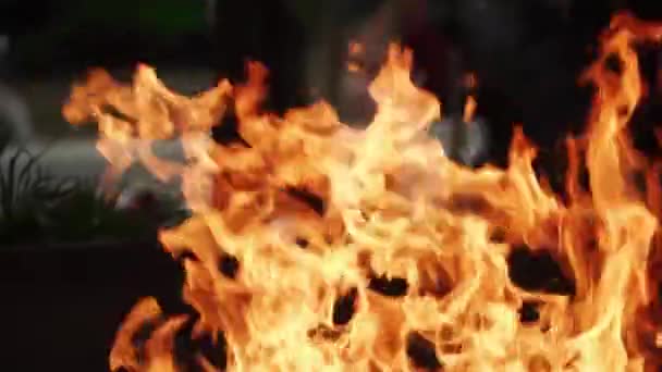 Eine Zeile echter Flammen entzündet sich auf schwarzem Hintergrund 100fps, Zeitlupe. — Stockvideo