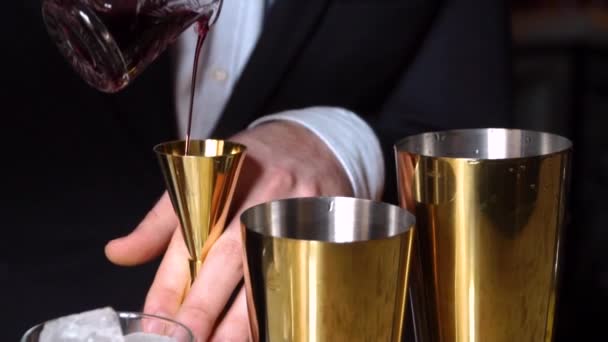 Barman preparar cocktails e bebidas alcoólicas — Vídeo de Stock