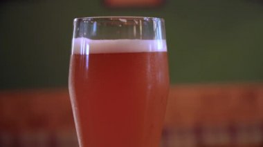 Pubda taze Lager bira