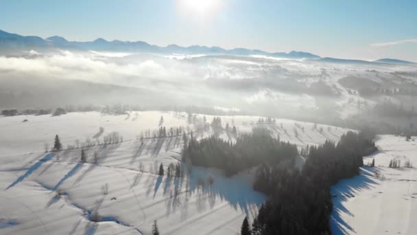 Droneutsikt over snødekte daler i fjell med trær i dis og solskinn – stockvideo