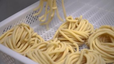 Makarna makinesi kullanarak spagetti ve makarna yapan kişi