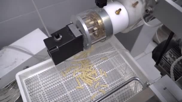 Pessoa fazendo espaguete e massa usando uma máquina de massas — Vídeo de Stock