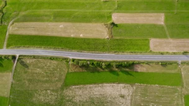 Запись с беспилотника, пустая дорога между полями — стоковое видео