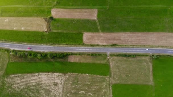 Imágenes aéreas de aviones no tripulados, dos coches conduciendo en la carretera entre los campos — Vídeo de stock