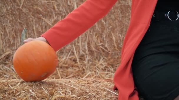 Молодая девушка выбирает тыкву на Хэллоуин — стоковое видео