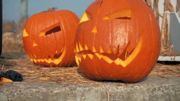 Man bereidt een pompoen voor halloween — Stockvideo