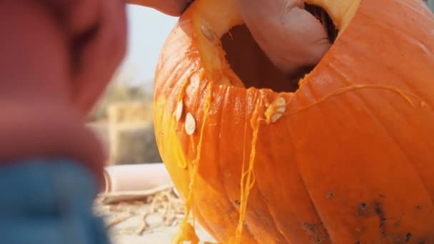 Man bereidt een pompoen voor halloween — Stockvideo