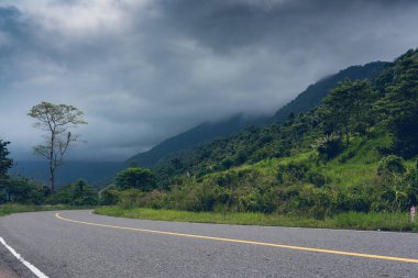 Dağ Bokor Milli Parkı içinde yeni düzgün asfalt yol. Çevre Kampot, Kamboçya.  